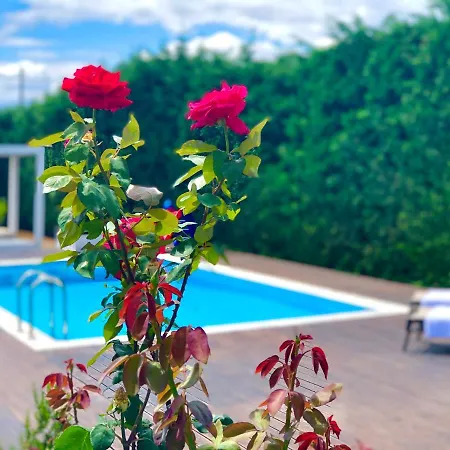 Villa Five Elements Pool & Bbq Loutraki (Corinthia)